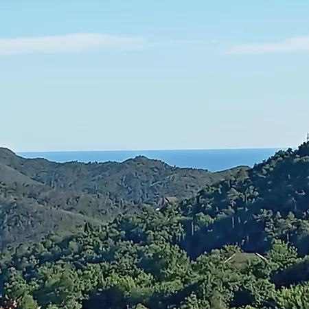 Cammaryhouse Casarza Ligure